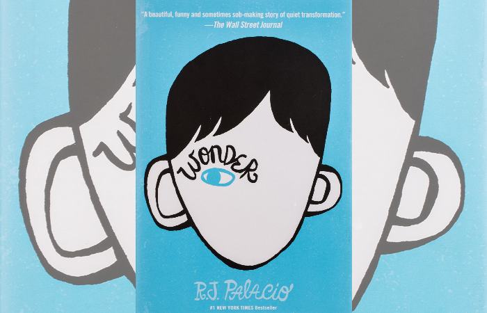 Books About Bullying- Wonder by RJ. Palacio
