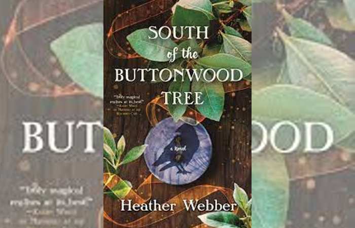 Underrated books you need to read- South of the Buttonwood Tree by Heather Webber