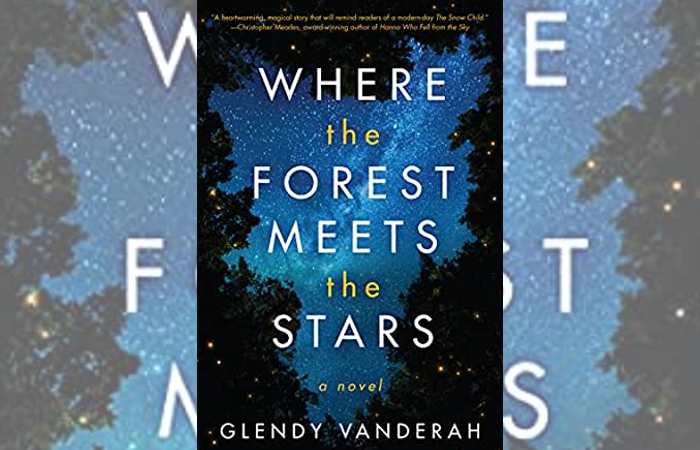 Underrated books you need to read- Where the Forest Meets the Stars by Glendy Vanderah