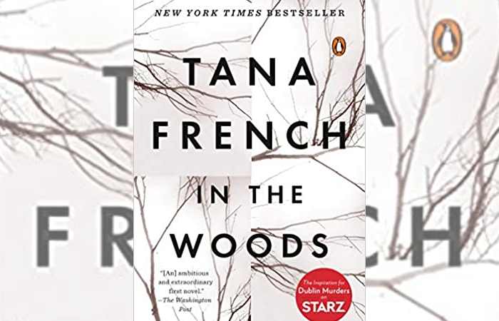 Atmospheric books- In the Woods by Tana French