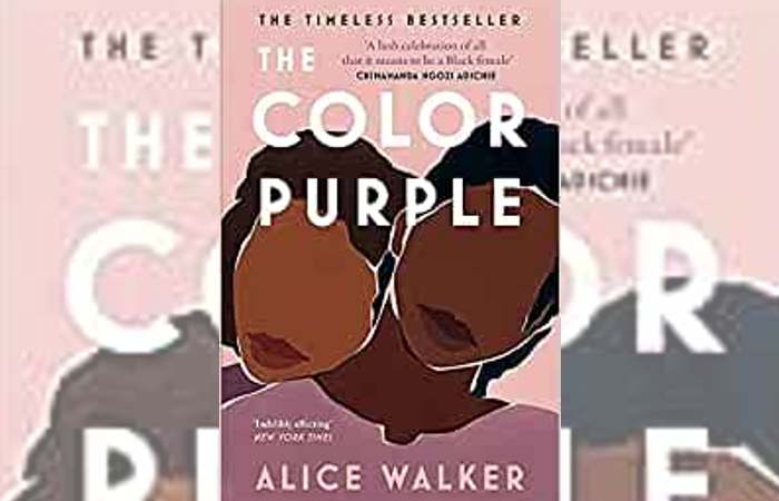 Fictional friendships- The Color Purple by Alice Walker